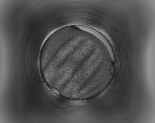 X0000086240896200704191818