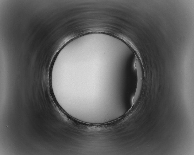 X0000086240898200704191818