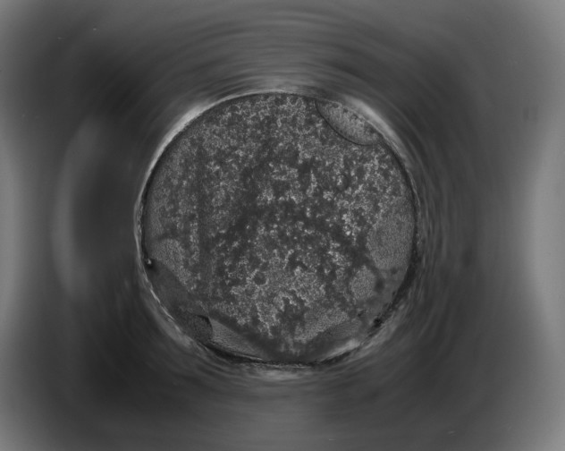 X0000086240899200704191818