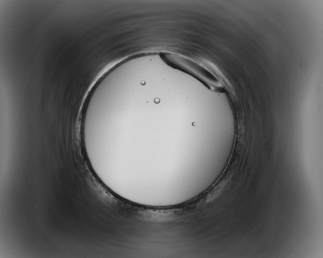 X0000086240900200704191818