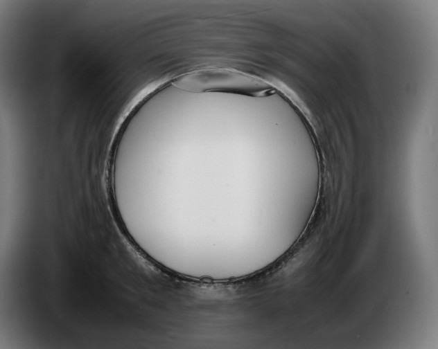 X0000086240901200704191818