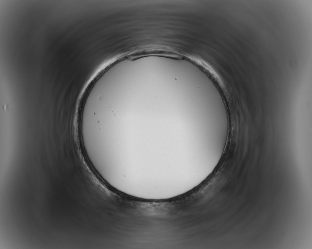 X0000086240902200704191818