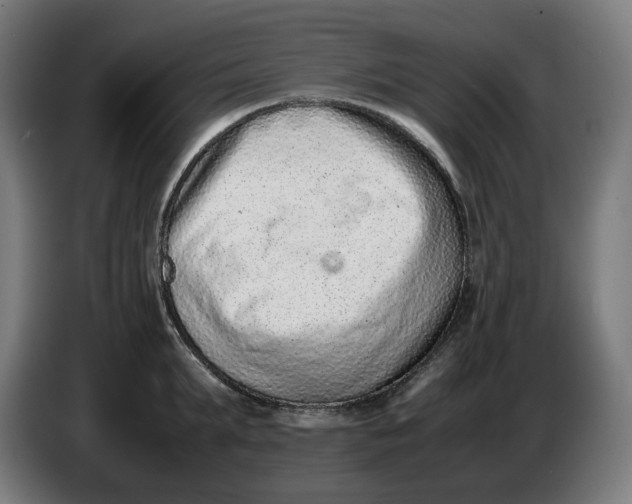 X0000086240903200704191818