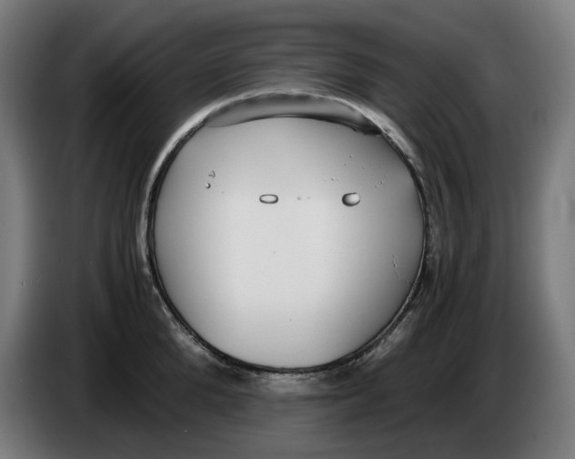 X0000086240904200704191818