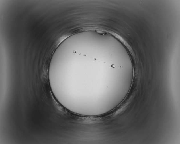 X0000086240905200704191818