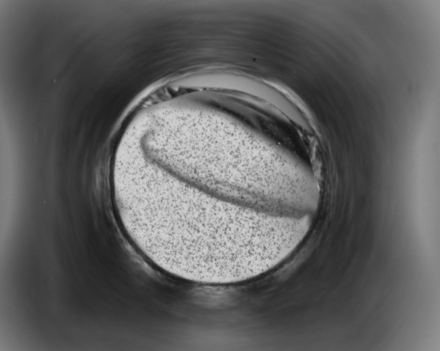 X0000086240910200704191818