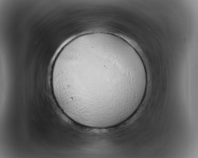 X0000086240912200704191818