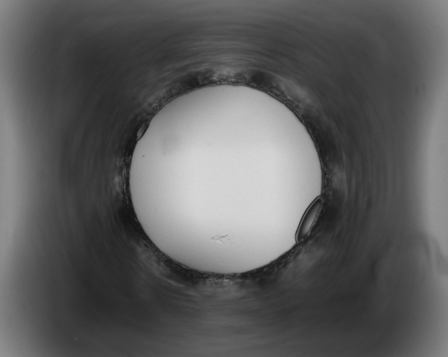 X0000086240914200704191818