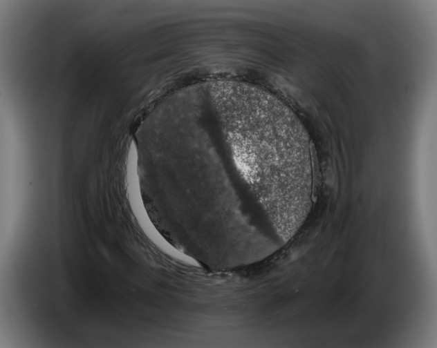 X0000086240916200704191818