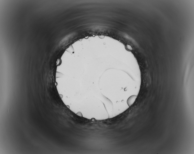 X0000086240918200704191818