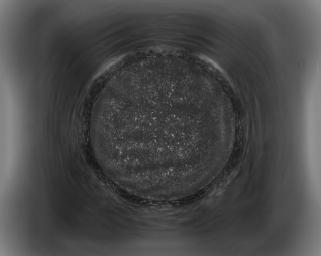 X0000086240919200704191818