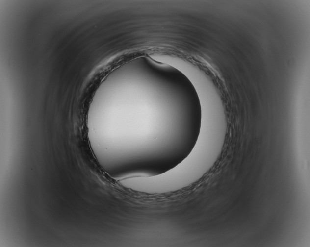 X0000086240920200704191818