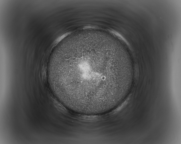 X0000086240921200704191818