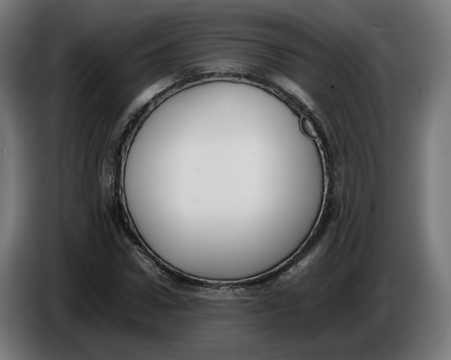 X0000086240922200704191818