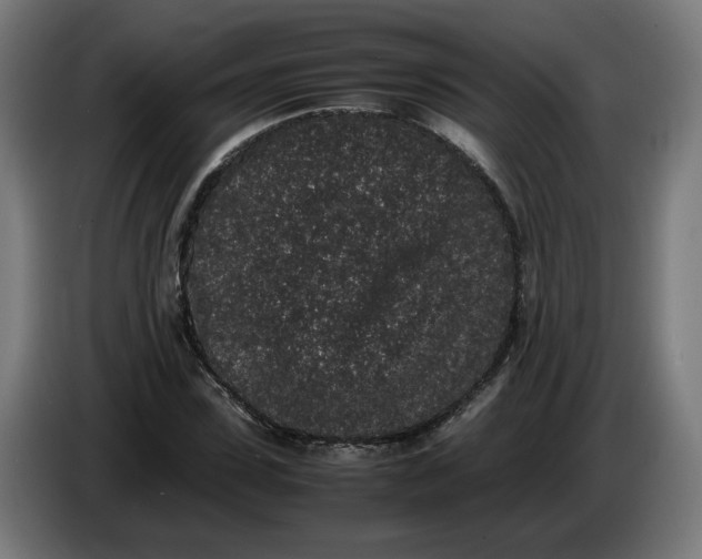 X0000086240923200704191818