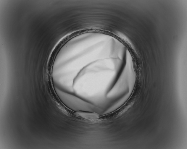 X0000086240924200704191818