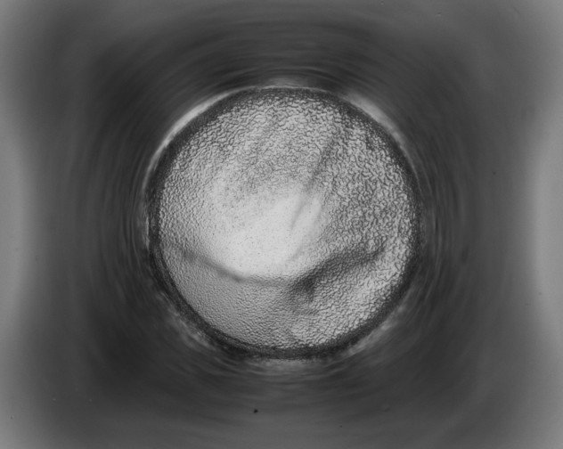 X0000086240925200704191818