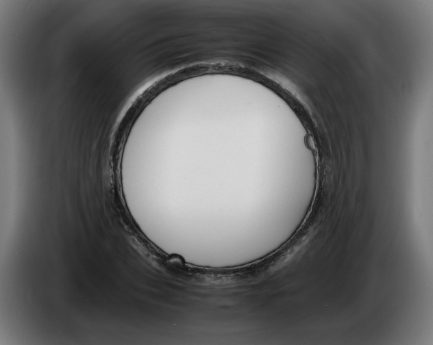 X0000086240927200704191818