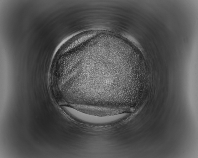 X0000086240928200704191818