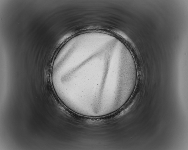X0000086240929200704191818