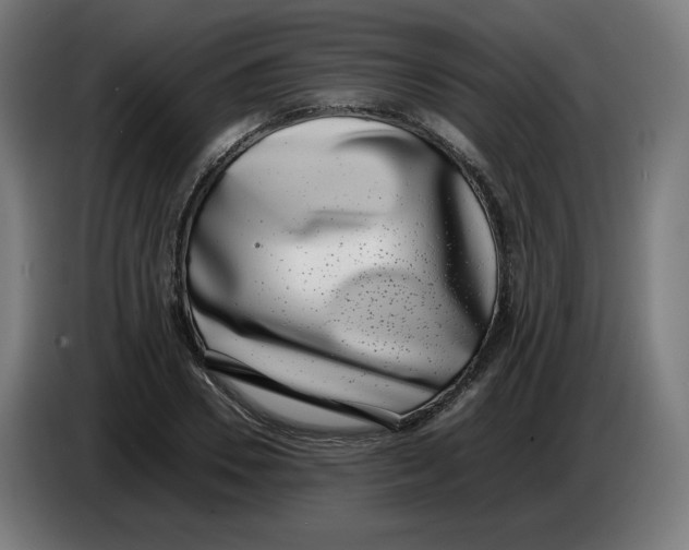 X0000086240930200704191818