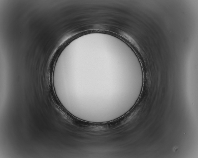 X0000086240931200704191818