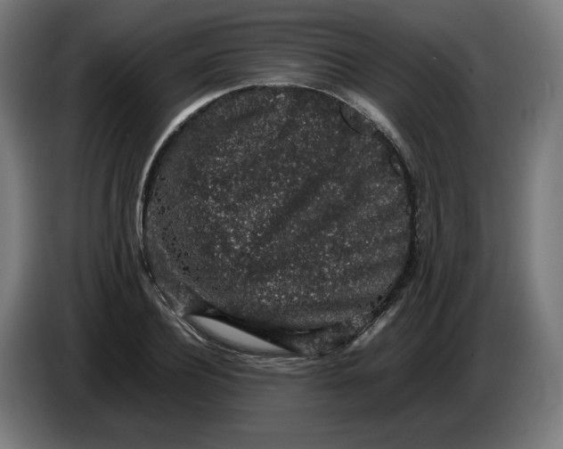 X0000086240932200704191818