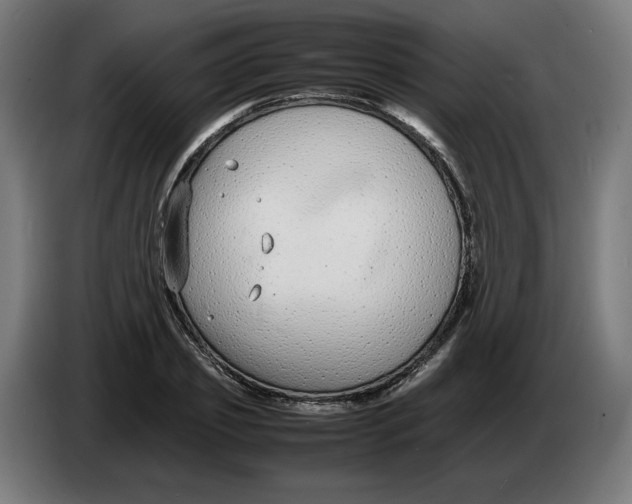 X0000086240933200704191818