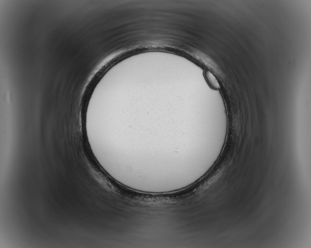 X0000086240934200704191818