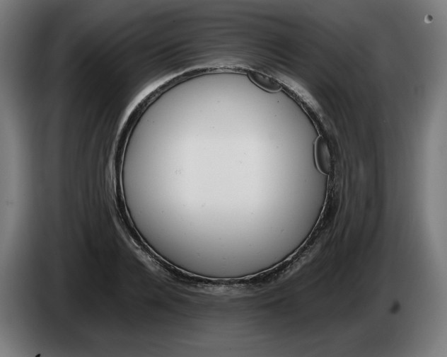 X0000086240936200704191818