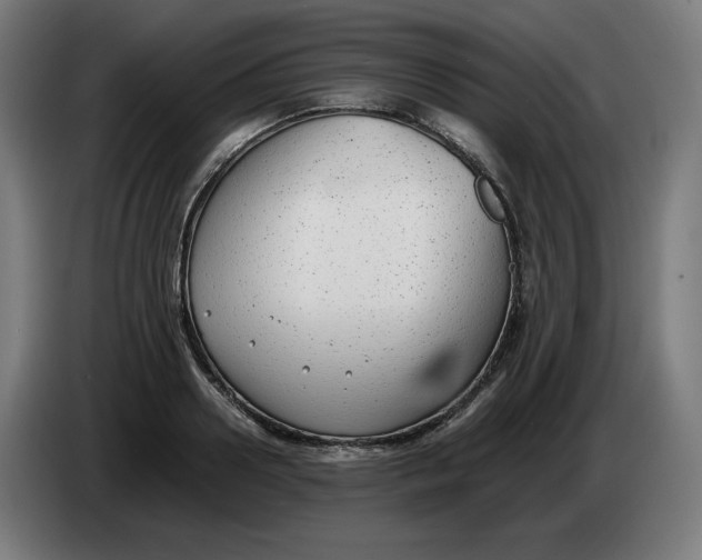 X0000086240938200704191818
