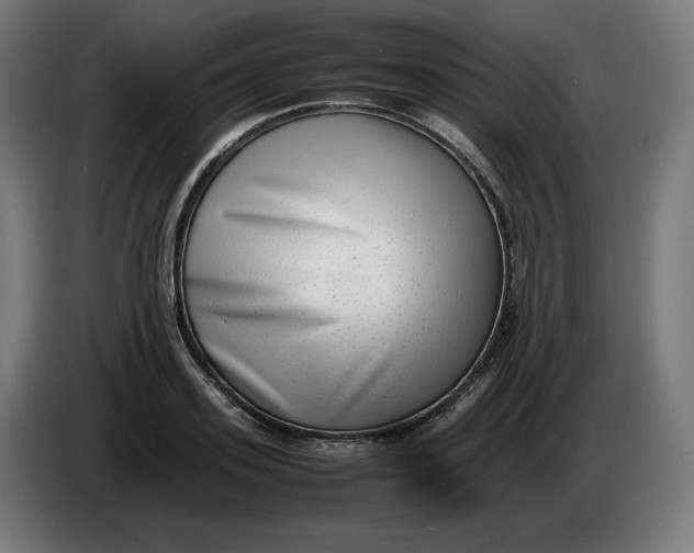 X0000086240939200704191818
