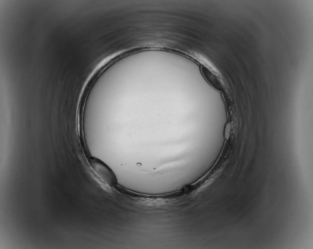 X0000086240940200704191818