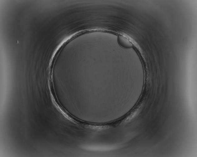 X0000086240941200704191818