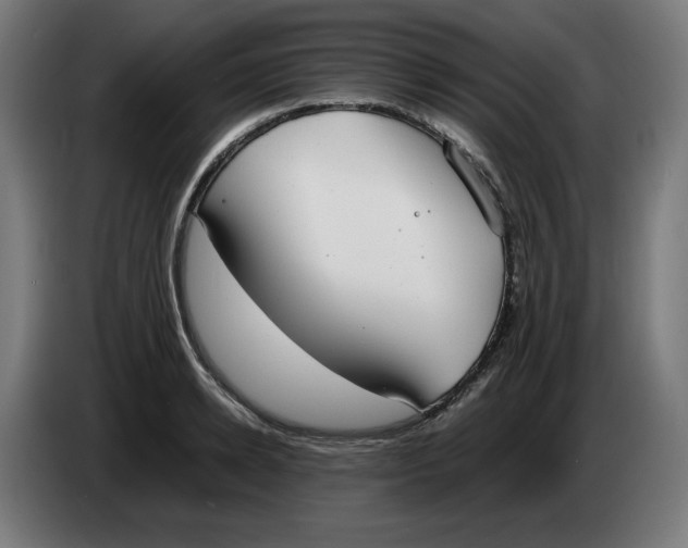 X0000086240942200704191818
