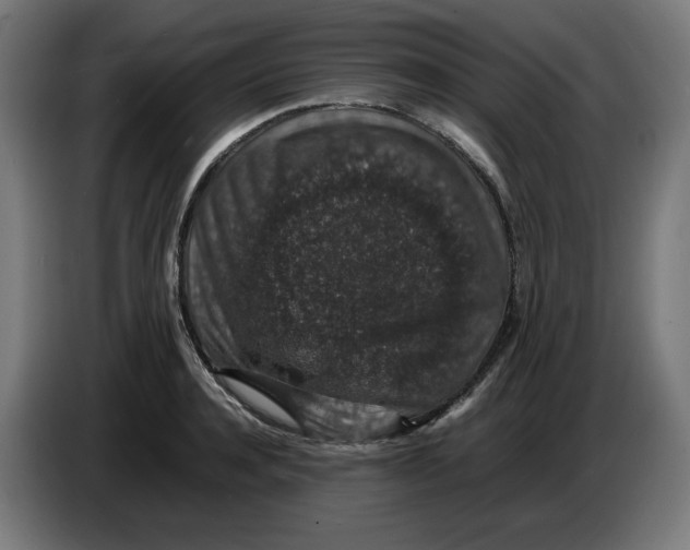 X0000086240944200704191818