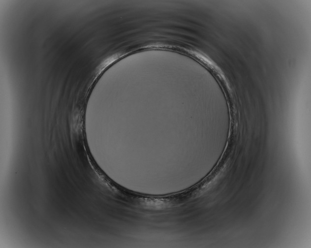 X0000086240945200704191818
