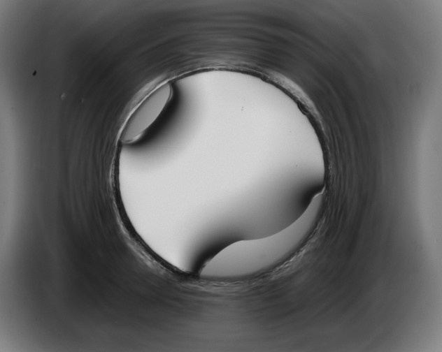 X0000086240946200704191818