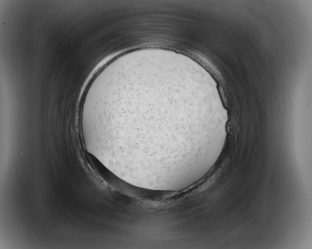 X0000086240948200704191818