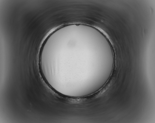 X0000086240949200704191818