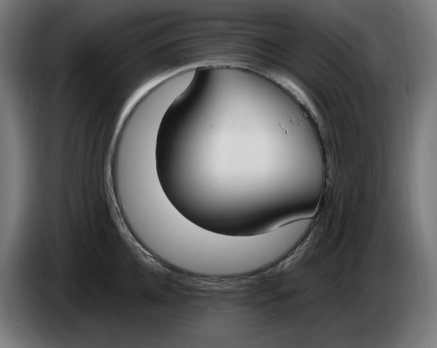 X0000086240952200704191818