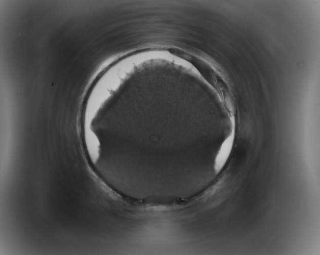 X0000086240958200704191818