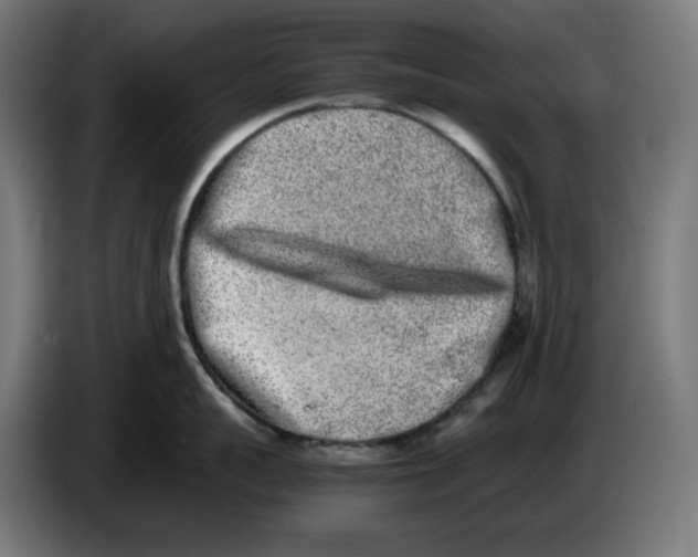 X0000086240959200704191818