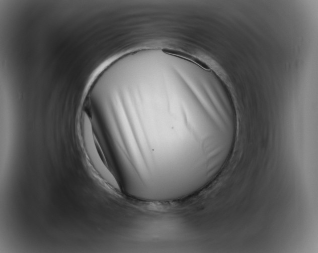 X0000086240960200704191818