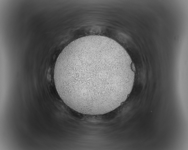 X0000086240962200704191817