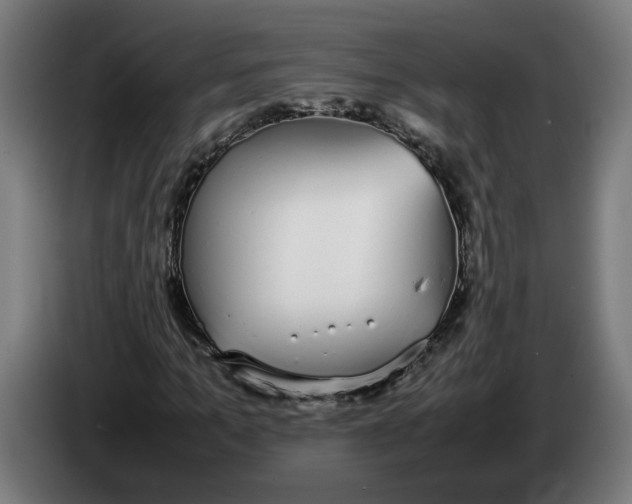 X0000086240965200704191817
