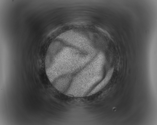 X0000086240966200704191817