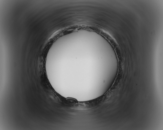 X0000086240968200704191817