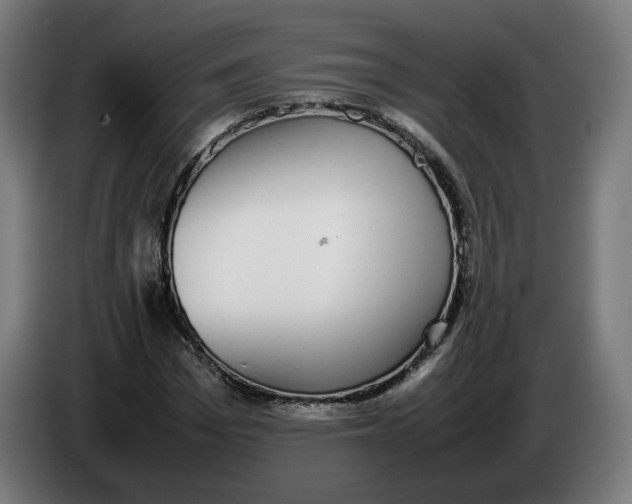 X0000086240969200704191817
