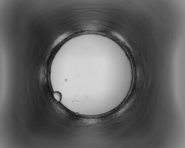X0000086240970200704191817